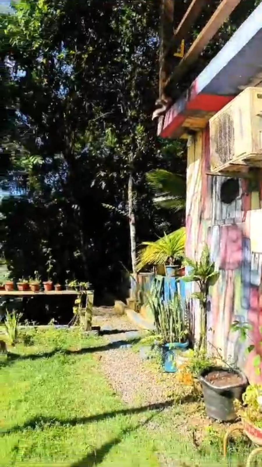 A Figueira Sagrada - Hostel مورو دي ساو باولو المظهر الخارجي الصورة